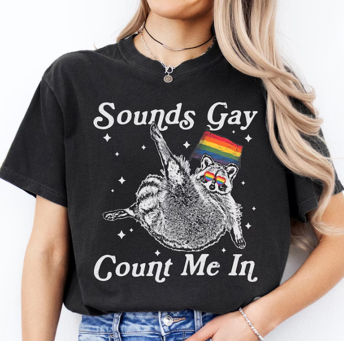 Sounds Gay Count Me In - LGBTQ ally Shirt 3 Sounds Gay, Count Me In β Pride T-Shirt for LGBTQ ally